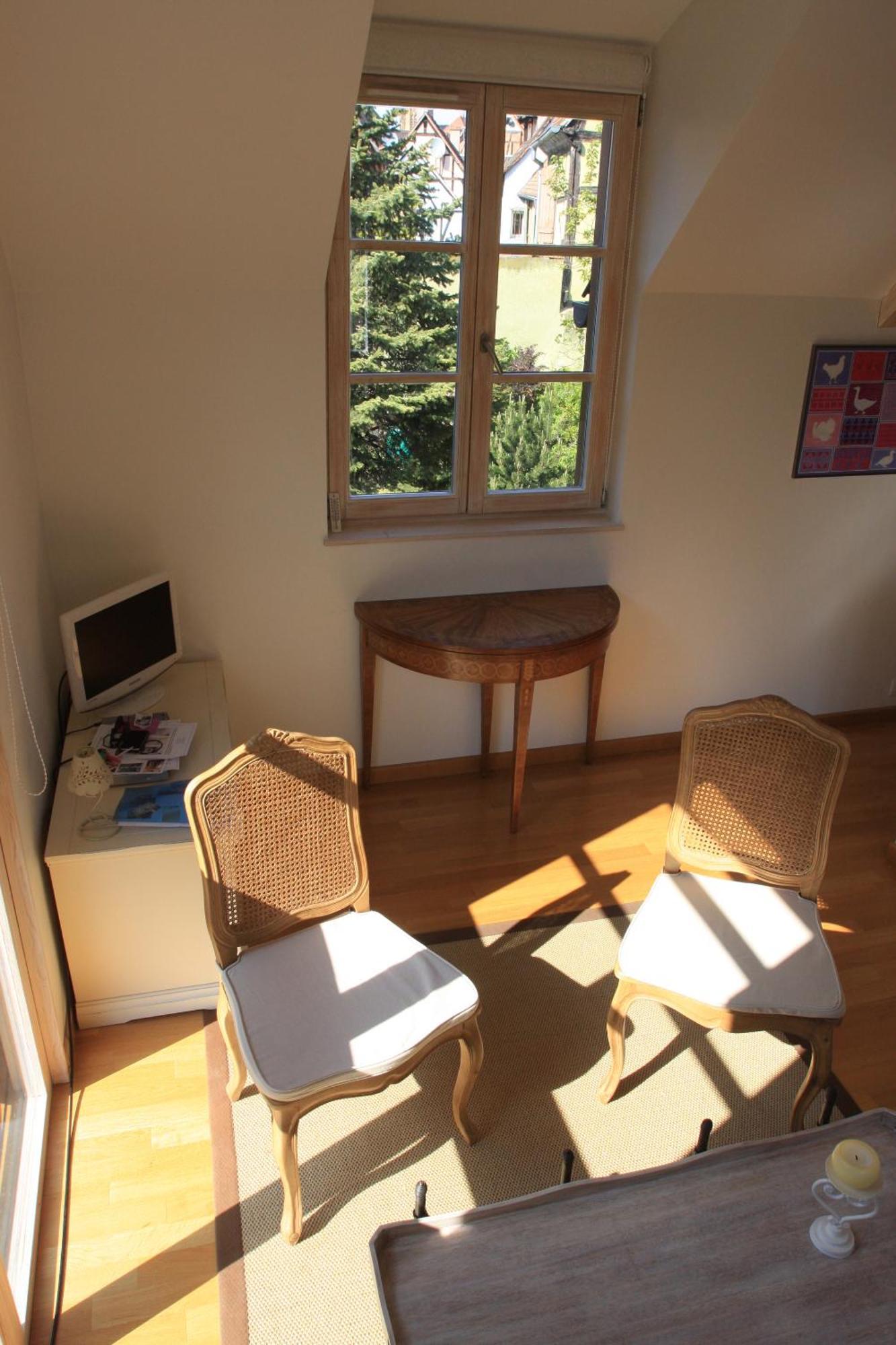 Petite Venise Apartment Colmar
