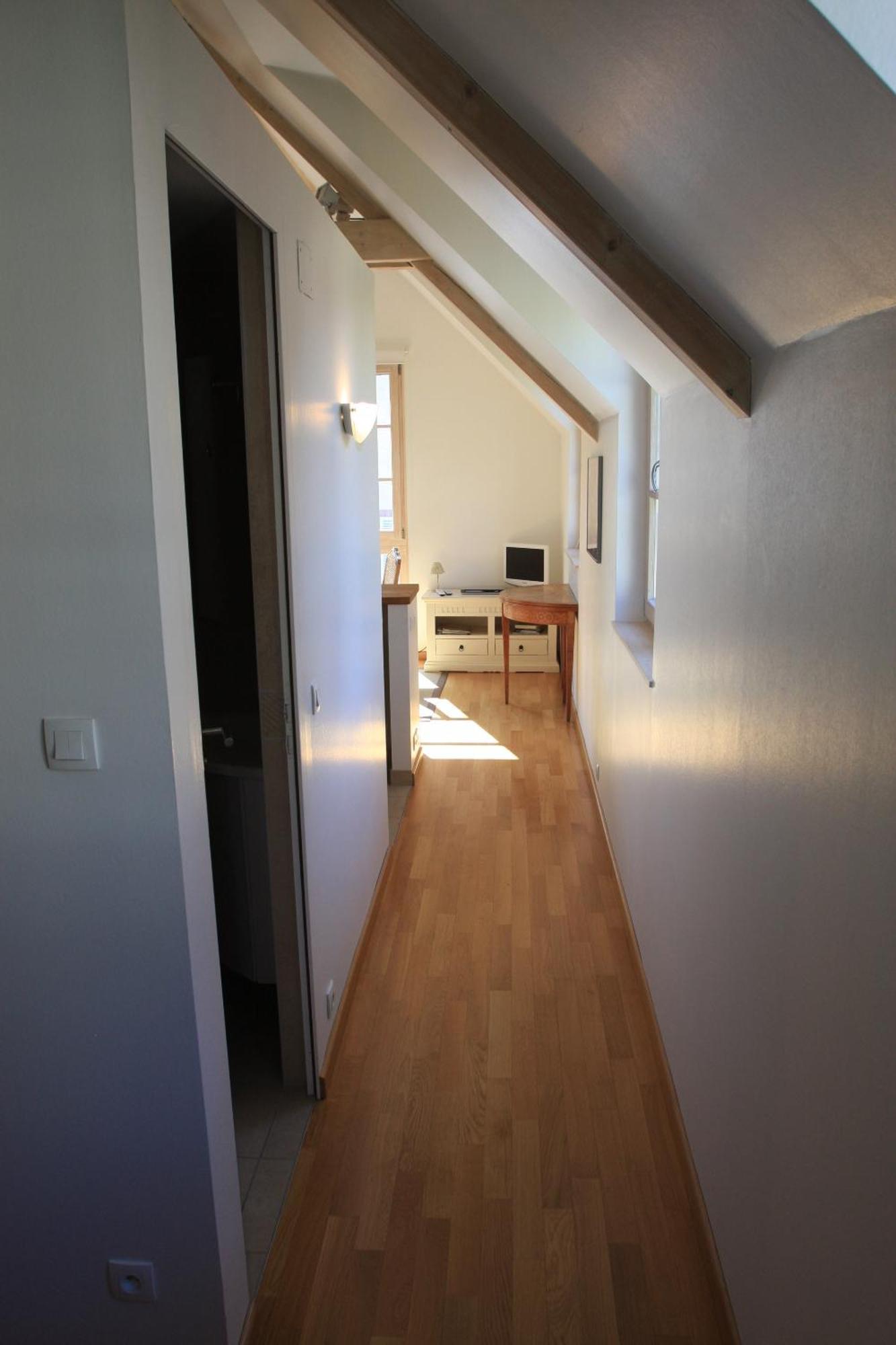 Apartment Petite Venise Colmar