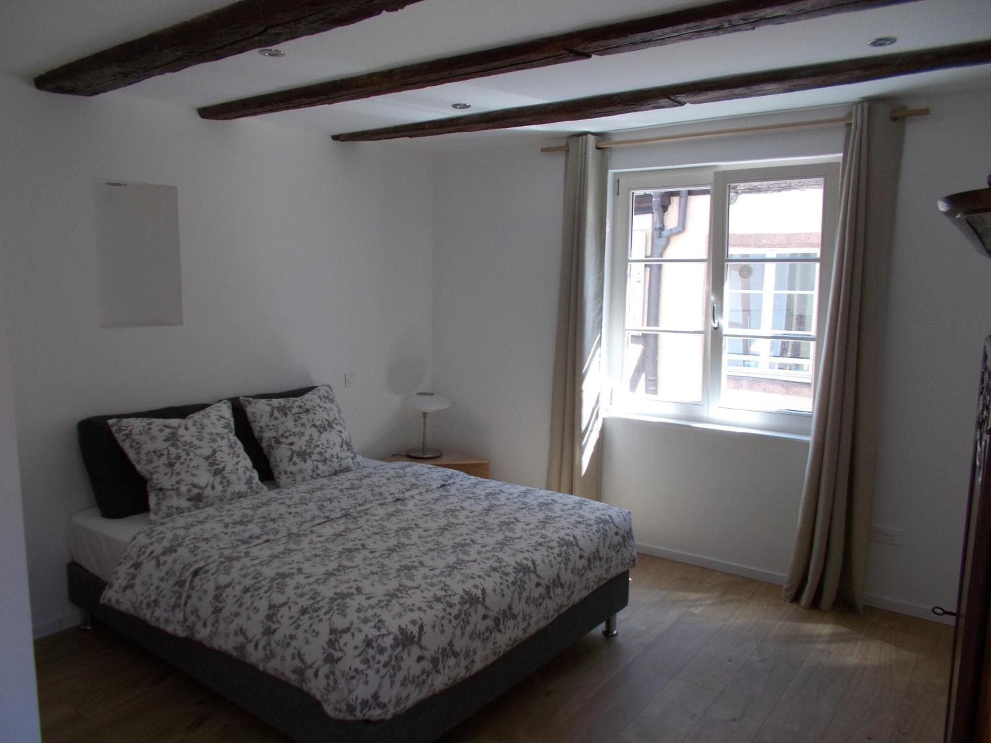 Petite Venise Appartement Colmar
